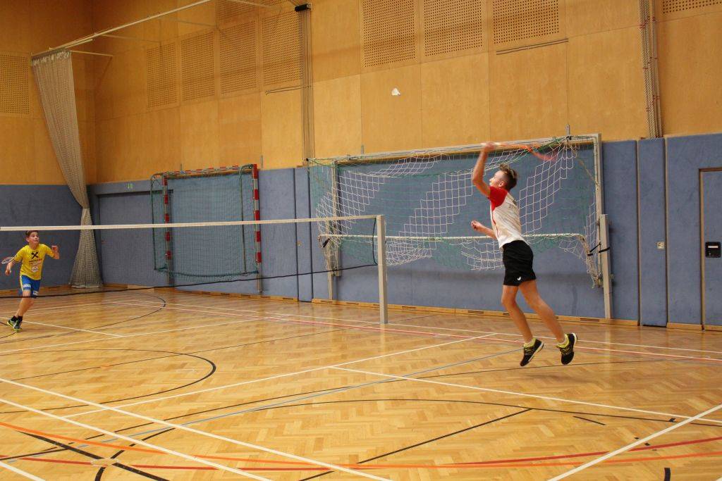 badminton steir ls 02